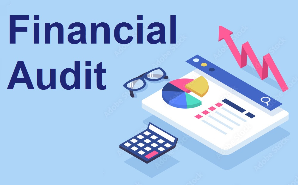 Financial Audit